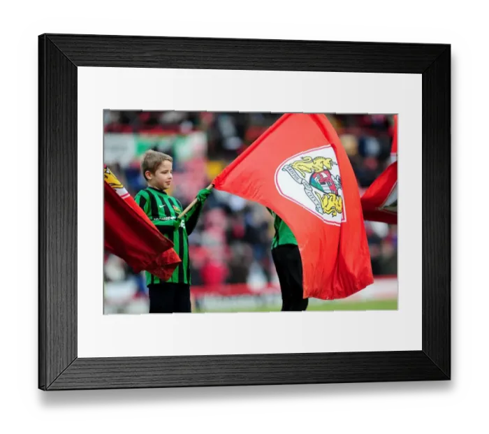 Framed Print : Bristol City vs Barnsley: Flagbearer at Ashton Gate, Npower Championship (February 2013) Framed Print : Bristol City vs Barnsley: Flagbearer at Ashton Gate, Npower Championship (February 2013)
