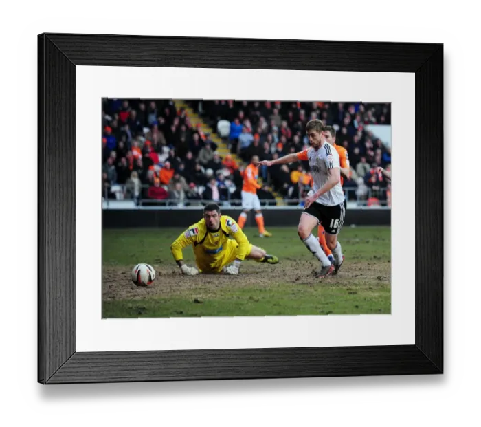 Framed Print : Disallowed Goal: Steven Davies, Bristol City vs Blackpool, Npower Championship (02 / 03 / 2013) Framed Print : Disallowed Goal: Steven Davies, Bristol City vs Blackpool, Npower Championship (02 / 03 / 2013)