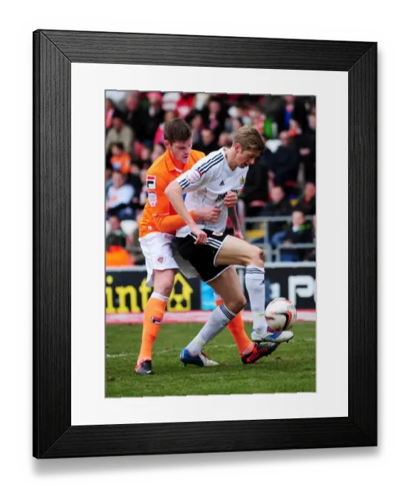 Framed Print : Bristol City vs Blackpool: Jon Stead vs Stephen Crainey Clash in Npower Championship Match, 2013