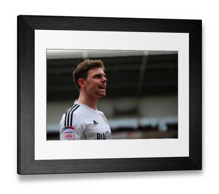 Framed Print : Bristol City's Paul Anderson Argues with Linesman During Blackpool vs. Bristol City Match, Npower Championship (2013)