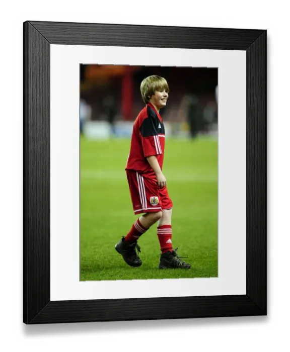 Framed Print : Bristol City vs. Brighton and Hove Albion: A Npower Championship Battle at Ashton Gate Framed Print : Bristol City vs. Brighton and Hove Albion: A Npower Championship Battle at Ashton Gate