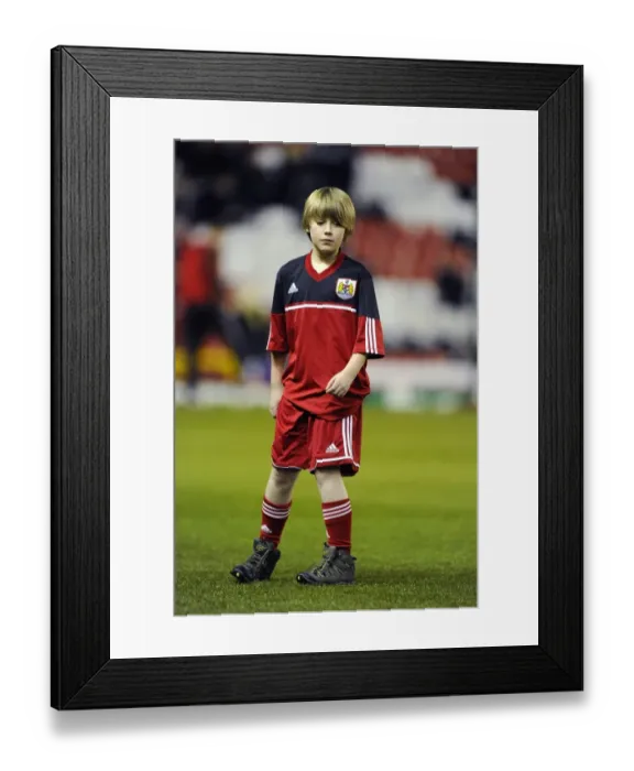 Framed Print : Npower Championship Showdown: Bristol City vs. Brighton and Hove Albion at Ashton Gate - March 2013 Framed Print : Npower Championship Showdown: Bristol City vs. Brighton and Hove Albion at Ashton Gate - March 2013