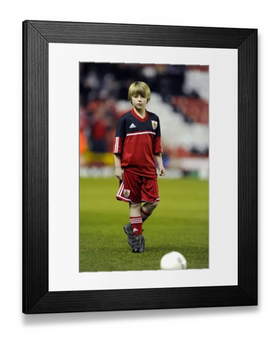 Framed Print : Npower Championship Showdown: Bristol City vs. Brighton and Hove Albion at Ashton Gate - March 2013 Framed Print : Npower Championship Showdown: Bristol City vs. Brighton and Hove Albion at Ashton Gate - March 2013