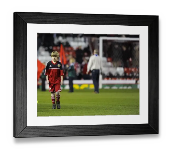 Framed Print : Bristol City vs. Brighton and Hove Albion: Npower Championship Showdown at Ashton Gate - March 5, 2013 Framed Print : Bristol City vs. Brighton and Hove Albion: Npower Championship Showdown at Ashton Gate - March 5, 2013