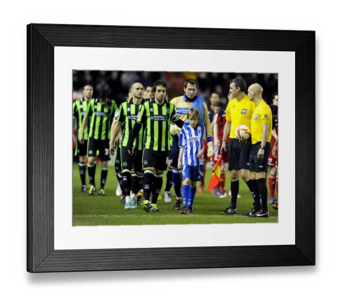 Framed Print : Bristol City vs Brighton and Hove Albion: Npower Championship Showdown at Ashton Gate - March 2013