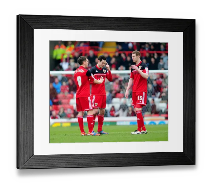 Framed Print : Bristol City: Gregg Cunningham Discusses Injury with Team Mates during Middlesbrough Match, 09-03-2013 Framed Print : Bristol City: Gregg Cunningham Discusses Injury with Team Mates during Middlesbrough Match, 09-03-2013