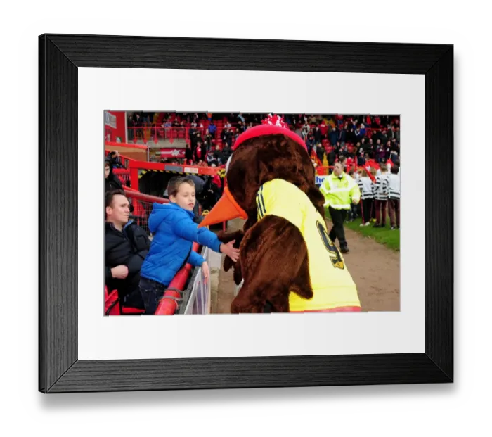 Framed Print : Scrumpy the Bristol City Mascot Mingles with Fans at Half Time during Bristol City vs Middlesbrough, Npower Championship Match, Ashton Gate, 2013