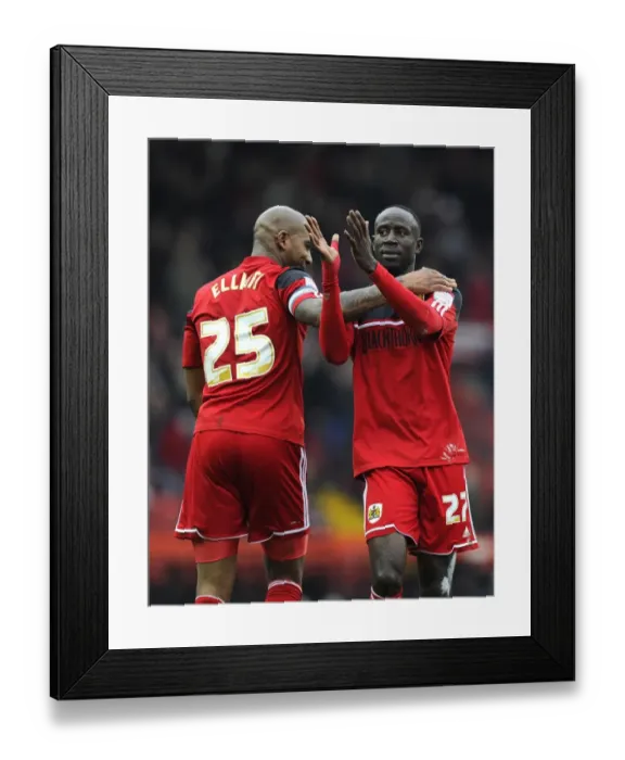 Framed Print : Adomah and Elliott's Thrilling Goal Celebration: Bristol City's Victory Moment at Ashton Gate, March 2013 Framed Print : Adomah and Elliott's Thrilling Goal Celebration: Bristol City's Victory Moment at Ashton Gate, March 2013