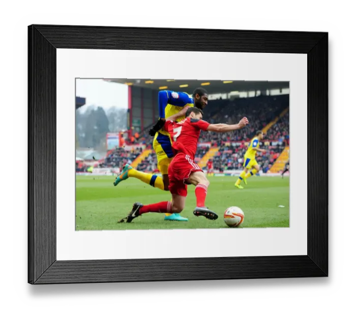 Framed Print : Intense Championship Clash: Sam Baldock Fouled by Rowe of Sheffield Wednesday (Bristol City vs Sheffield Wednesday) Framed Print : Intense Championship Clash: Sam Baldock Fouled by Rowe of Sheffield Wednesday (Bristol City vs Sheffield Wednesday)