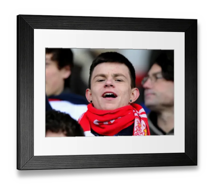 Framed Print : Bristol City vs Sheffield Wednesday: A Npower Championship Showdown at Ashton Gate Framed Print : Bristol City vs Sheffield Wednesday: A Npower Championship Showdown at Ashton Gate