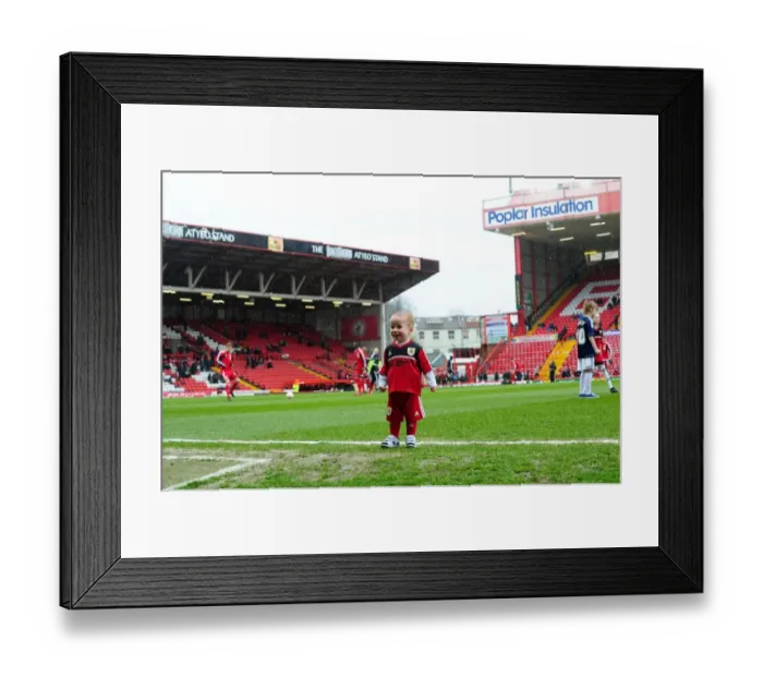 Framed Print : Bristol City vs. Bolton Wanderers Clash at Ashton Gate - Npower Championship Football Match: Bristol City Mascot Calum Framed Print : Bristol City vs. Bolton Wanderers Clash at Ashton Gate - Npower Championship Football Match: Bristol City Mascot Calum