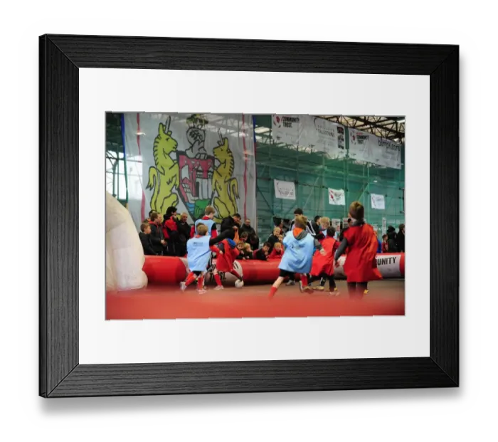 Framed Print : Npower Championship Showdown: Bristol City vs. Bolton Wanderers at Ashton Gate, 2013 - A Football Rivalry Unfolds (Bristol City vs. Bolton Wanderers)