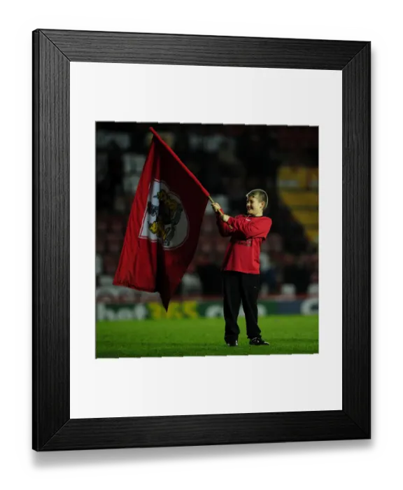 Framed Print : Flag-Bearing Pride at Ashton Gate: Bristol City vs Birmingham City (2013) Framed Print : Flag-Bearing Pride at Ashton Gate: Bristol City vs Birmingham City (2013)
