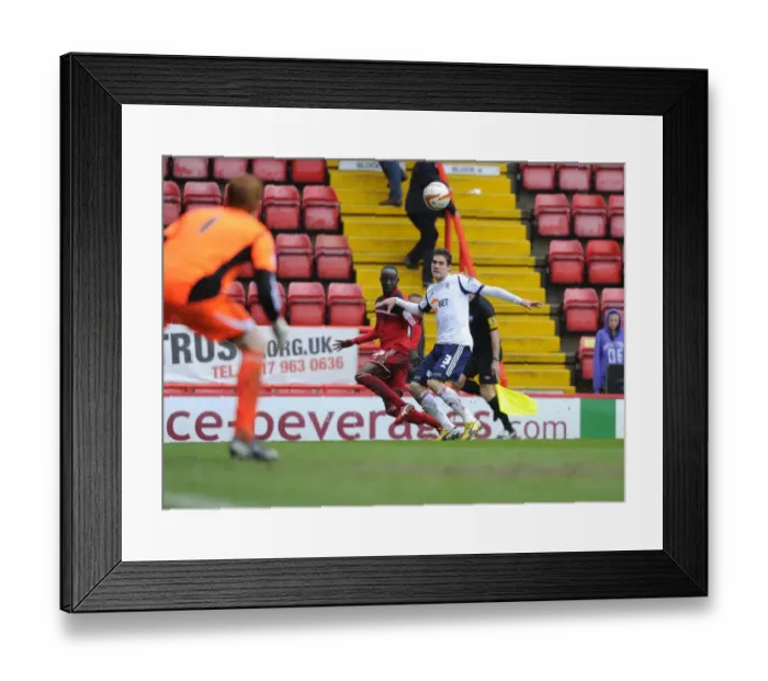 Framed Print : Adomah's Cross Helps Davies Score the Winning Goal: Bristol City vs. Bolton Wanderers, Npower Championship (13 / 04 / 2013)