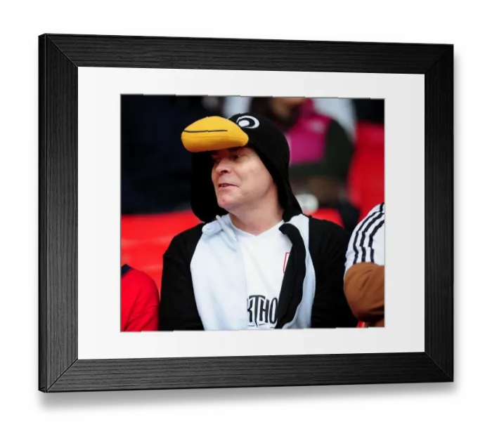 Framed Print : Bristol City Fan's Euphoric Moment at The Valley during Charlton Athletic vs. Bristol City, Npower Championship (04 / 05 / 2013)