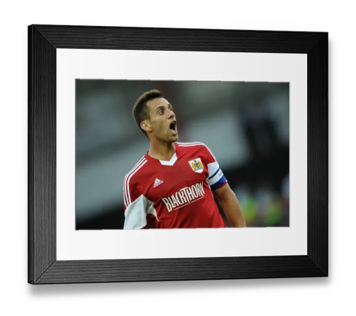 Framed Print : Bristol City vs Reading: A Thrilling July 2013 Encounter