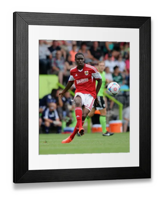 Framed Print : Pre-Season Showdown: Forest Green Rovers vs. Bristol City (2007-2013) Framed Print : Pre-Season Showdown: Forest Green Rovers vs. Bristol City (2007-2013)