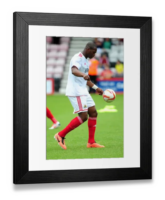 Framed Print : Marlon Harewood of Bristol City in Action against Bournemouth, 2013 Framed Print : Marlon Harewood of Bristol City in Action against Bournemouth, 2013