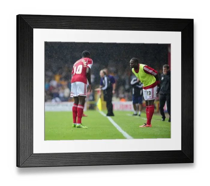 Framed Print : Bristol City's Jay Emmanuel-Thomas and Marlon Harewood Celebrate Goal vs. Bradford City, August 2013 Framed Print : Bristol City's Jay Emmanuel-Thomas and Marlon Harewood Celebrate Goal vs. Bradford City, August 2013