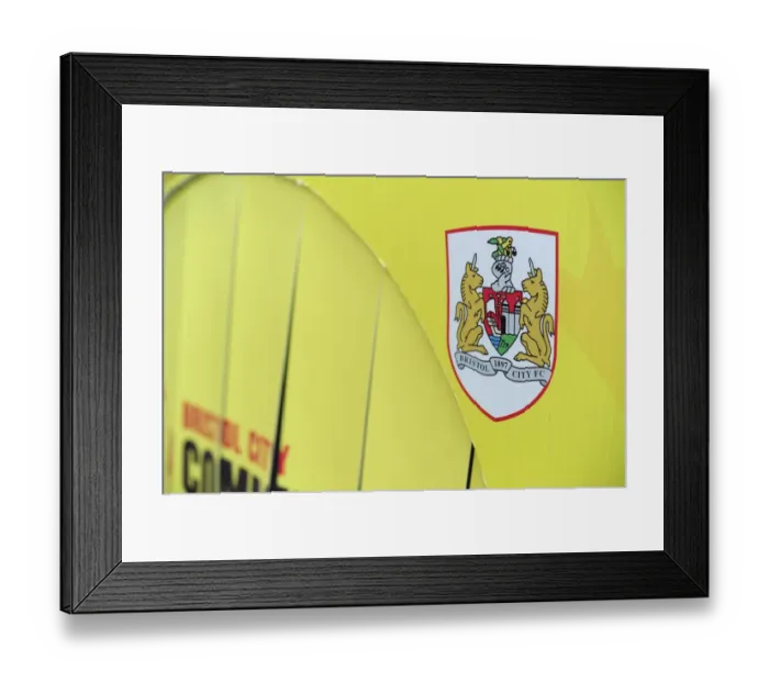Framed Print : Through My Belly: Bristol City's Win Against Bradford City, August 3, 2013 - Dougie Allward / JMP Framed Print : Through My Belly: Bristol City's Win Against Bradford City, August 3, 2013 - Dougie Allward / JMP