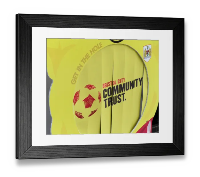 Framed Print : Bristol City Clinch Victory Over Bradford City at Ashton Gate, 03-08-2013 Framed Print : Bristol City Clinch Victory Over Bradford City at Ashton Gate, 03-08-2013