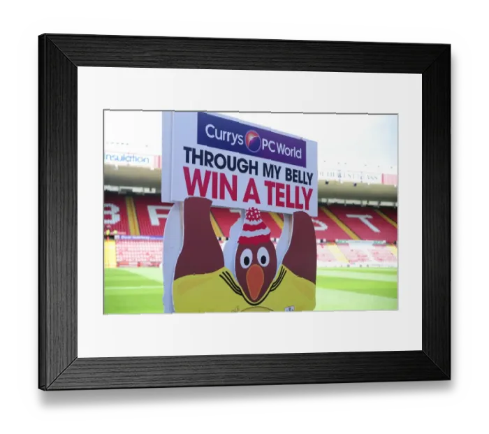 Framed Print : Through My Belly: The Decisive Moment at Ashton Gate - Bristol City vs. Bradford City, August 3, 2013 Framed Print : Through My Belly: The Decisive Moment at Ashton Gate - Bristol City vs. Bradford City, August 3, 2013