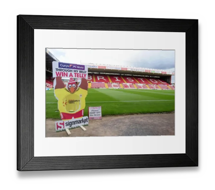 Framed Print : Through My Belly: Bristol City's Hard-Fought Victory over Bradford City (03.08.2013) Framed Print : Through My Belly: Bristol City's Hard-Fought Victory over Bradford City (03.08.2013)