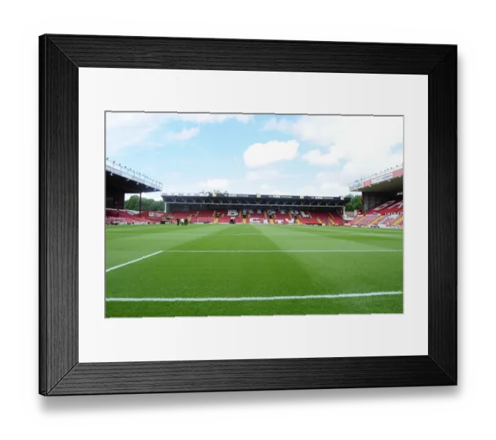 Framed Print : Bristol City vs Bradford City: Atyeo Stand Showdown at Ashton Gate, Sky Bet League One (August 3, 2013)