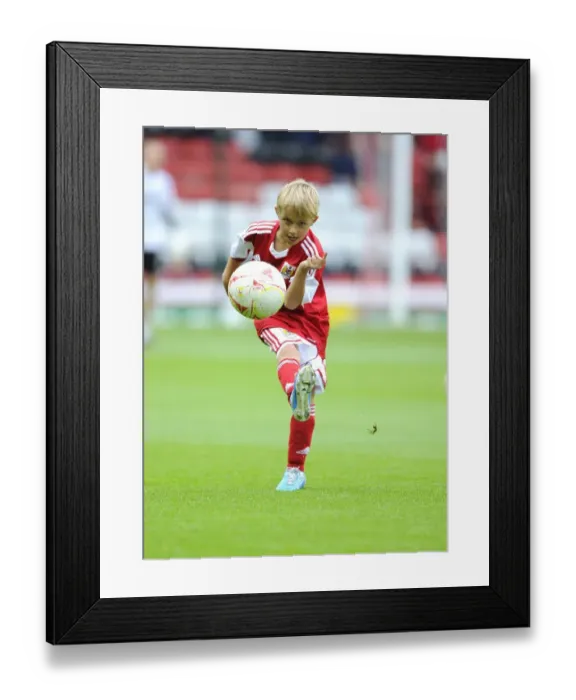 Framed Print : Bristol City vs. Wolves: Clash at Ashton Gate - August 13, 2017