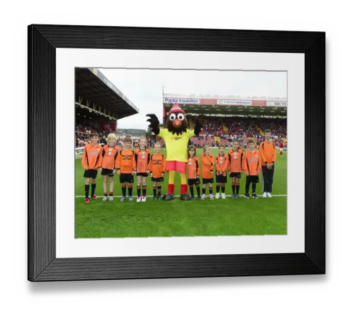Framed Print : Bristol City vs. Wolves: The Exciting Clash at Ashton Gate (August 13, 2017) Framed Print : Bristol City vs. Wolves: The Exciting Clash at Ashton Gate (August 13, 2017)