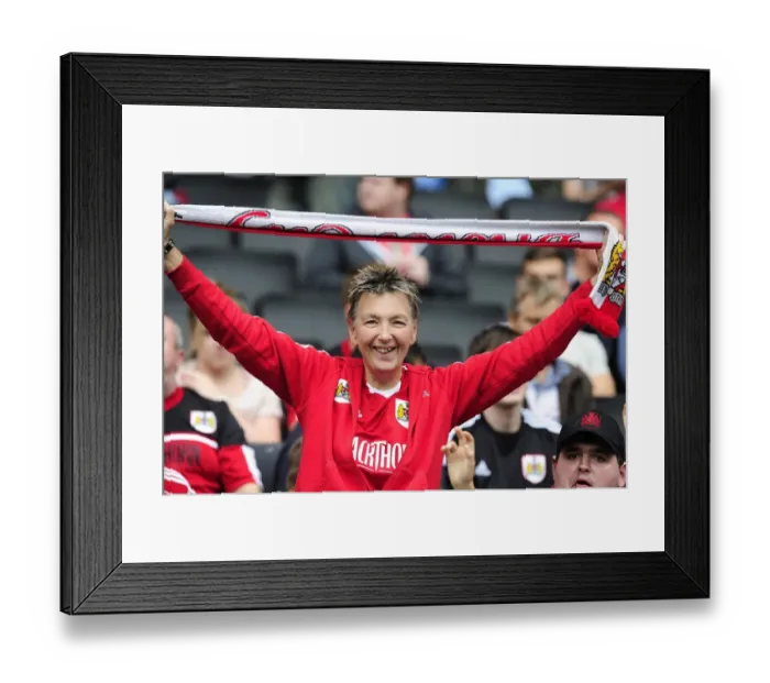 Framed Print : Bristol City Fans Passionate Support: Milton Keynes Dons vs. Bristol City, Sky Bet League One (August 24, 2013) Framed Print : Bristol City Fans Passionate Support: Milton Keynes Dons vs. Bristol City, Sky Bet League One (August 24, 2013)