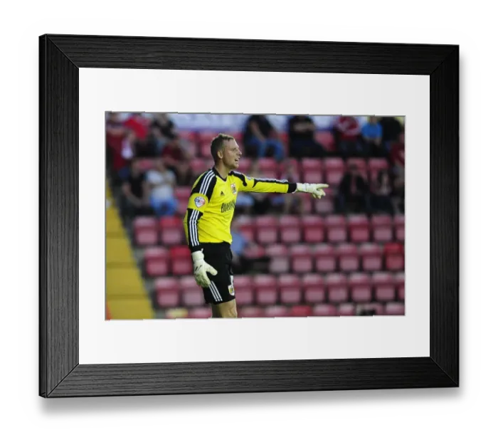 Framed Print : Elliott Parish in Action: Bristol City vs Crystal Palace, 2013 Framed Print : Elliott Parish in Action: Bristol City vs Crystal Palace, 2013