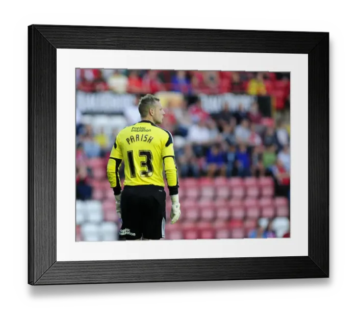 Framed Print : Elliott Parish in Action: Bristol City vs Crystal Palace, 2013 Framed Print : Elliott Parish in Action: Bristol City vs Crystal Palace, 2013