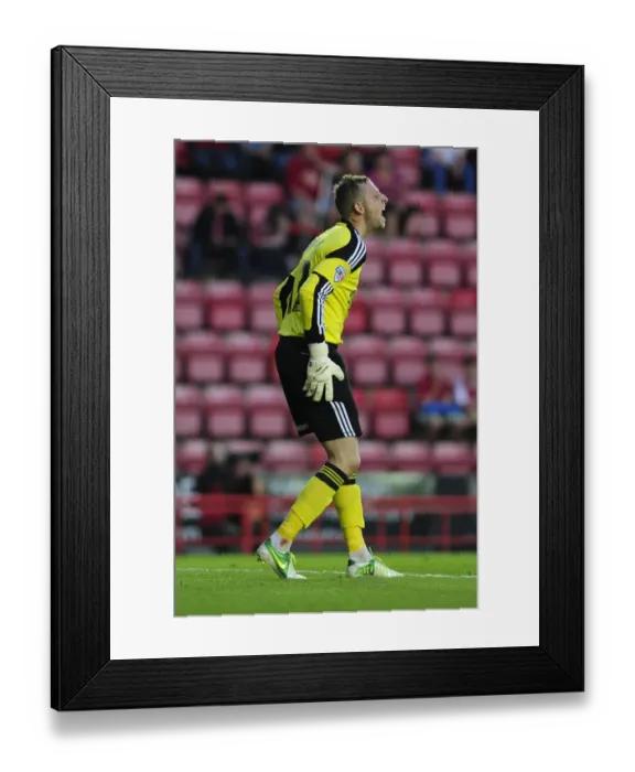 Framed Print : Elliott Parish in Action: Bristol City vs Crystal Palace, 2013 Framed Print : Elliott Parish in Action: Bristol City vs Crystal Palace, 2013