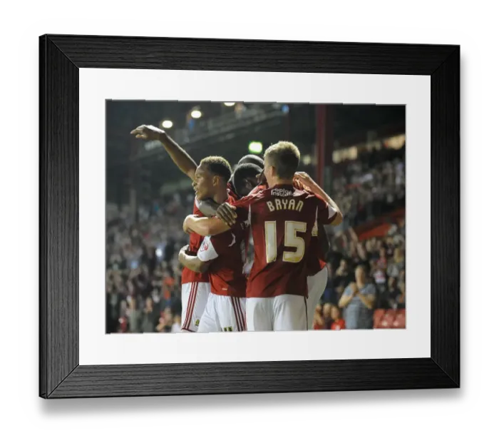 Framed Print : Bristol City vs Crystal Palace: The Battle at Ashton Gate, 2013 Framed Print : Bristol City vs Crystal Palace: The Battle at Ashton Gate, 2013