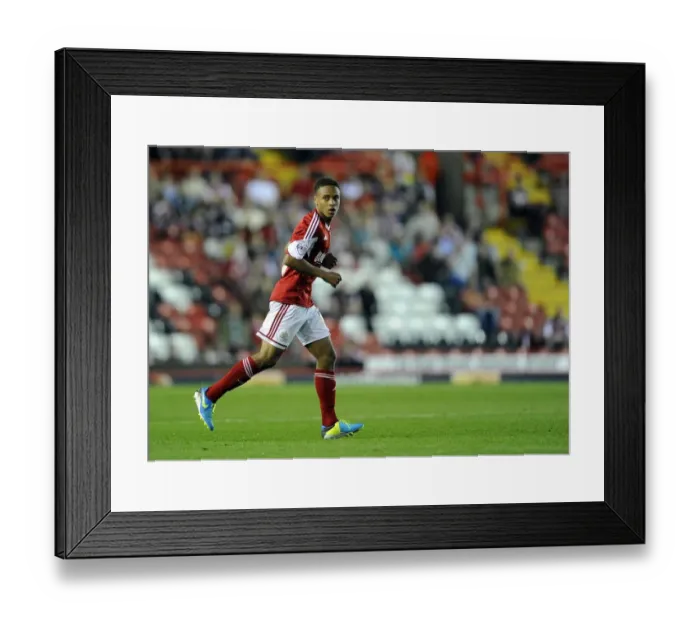 Framed Print : Bobby Reid in Action: Bristol City vs Crystal Palace, Capital One Cup 2013 Framed Print : Bobby Reid in Action: Bristol City vs Crystal Palace, Capital One Cup 2013