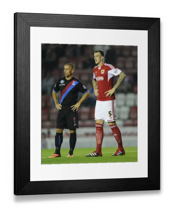 Framed Print : Bristol City V Crystal Palace 270813