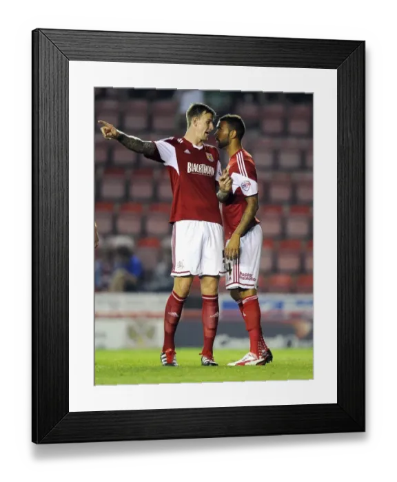 Framed Print : Bristol City vs Crystal Palace: Aden Flint and Liam Fontaine in Action at Ashton Gate, 2013 Framed Print : Bristol City vs Crystal Palace: Aden Flint and Liam Fontaine in Action at Ashton Gate, 2013