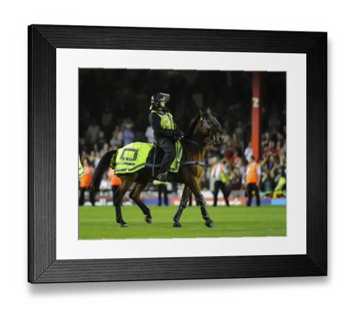 Framed Print : Bristol Derby: Fans Euphoria Disrupted by Police at Ashton Gate (September 4, 2013) Framed Print : Bristol Derby: Fans Euphoria Disrupted by Police at Ashton Gate (September 4, 2013)