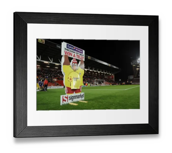 Framed Print : Bristol City vs Shrewsbury Town: Through My Lens, A Winning Moment at Ashton Gate Framed Print : Bristol City vs Shrewsbury Town: Through My Lens, A Winning Moment at Ashton Gate