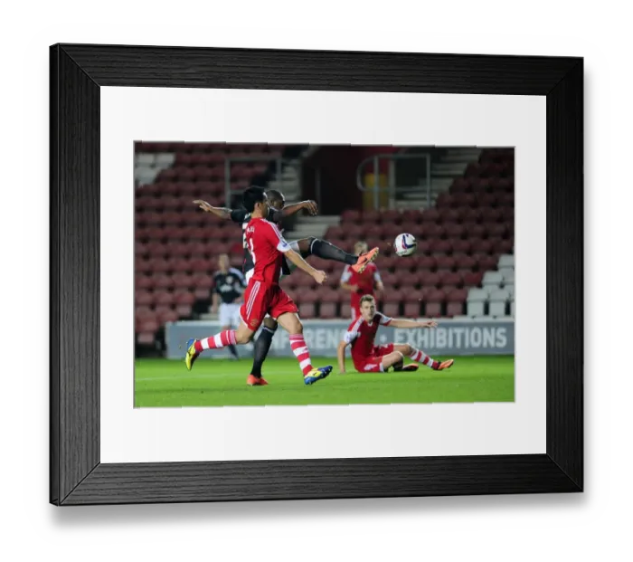 Framed Print : Marlon Harewood's Reach: Southampton vs. Bristol City, Capital One Cup Framed Print : Marlon Harewood's Reach: Southampton vs. Bristol City, Capital One Cup
