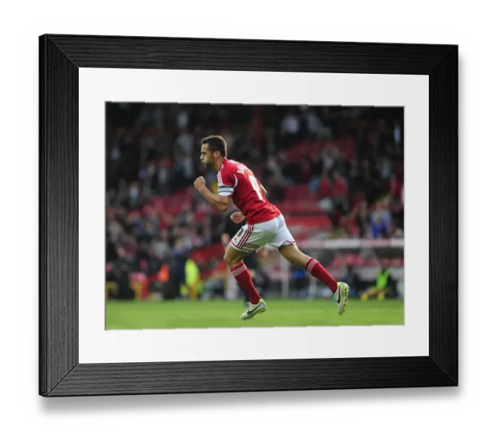 Framed Print : Bristol City's Sam Baldock Celebrates Goal Against Colchester United, Sky Bet League One, 2013
