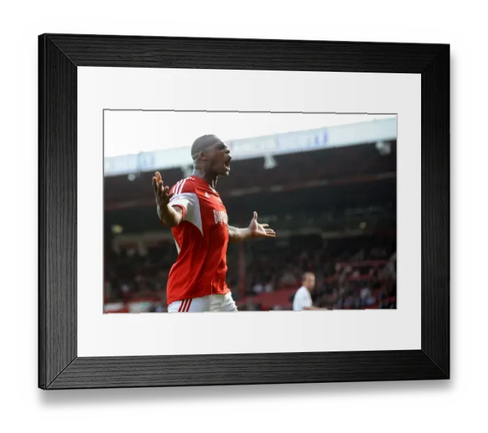 Framed Print : Bristol City's Sam Baldock Scores the Goal: Marlon Harewood Celebrates, Sky Bet League One, Ashton Gate
