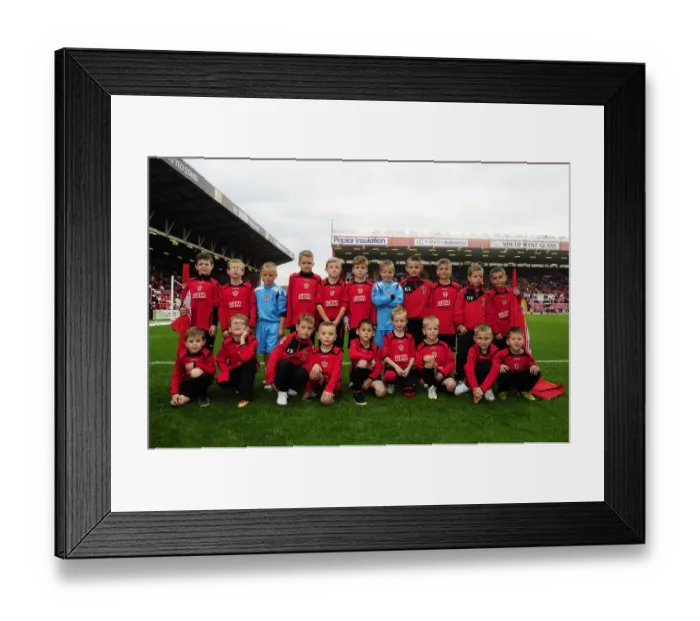 Framed Print : Flag Bearers of Ashton Gate: Bristol City vs Colchester United, Sky Bet League One (September 2013)