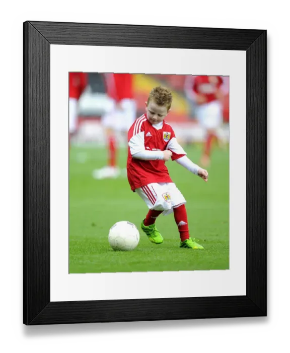 Framed Print : Bristol City vs Colchester United: A Football Rivalry in Sky Bet League One at Ashton Gate - September 2013 (Mascots Clash)
