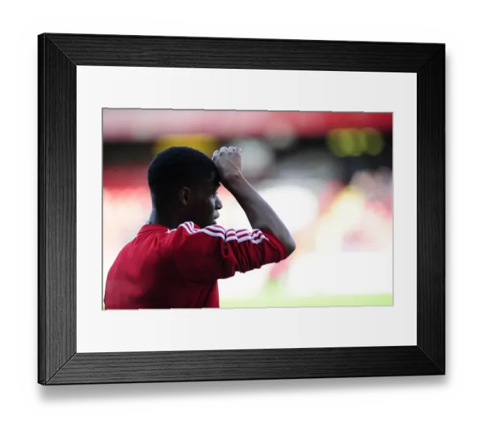 Framed Print : Bristol City's Jordan Wynter in Action at Crystal Palace vs Fulham, 2013