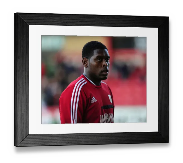 Framed Print : Jay Emmanuel-Thomas of Bristol City in Action against Fulham at Selhurst Park, 2013