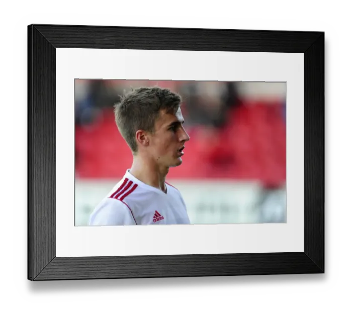 Framed Print : Bristol City's Joe Bryan in Action against Fulham at Selhurst Park, 2013 Framed Print : Bristol City's Joe Bryan in Action against Fulham at Selhurst Park, 2013