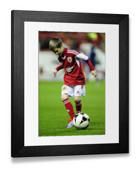 Framed Print : Bristol City vs Brentford: The Exciting Moment with the Bristol City Mascot at Ashton Gate, 2013 Framed Print : Bristol City vs Brentford: The Exciting Moment with the Bristol City Mascot at Ashton Gate, 2013