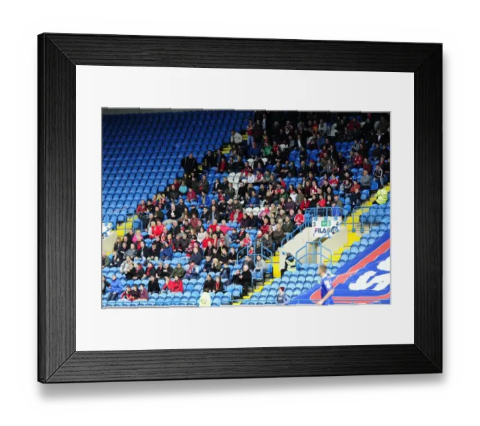 Framed Print : Bristol City Takes on Carlisle United in Sky Bet League One Action, October 2013 Framed Print : Bristol City Takes on Carlisle United in Sky Bet League One Action, October 2013